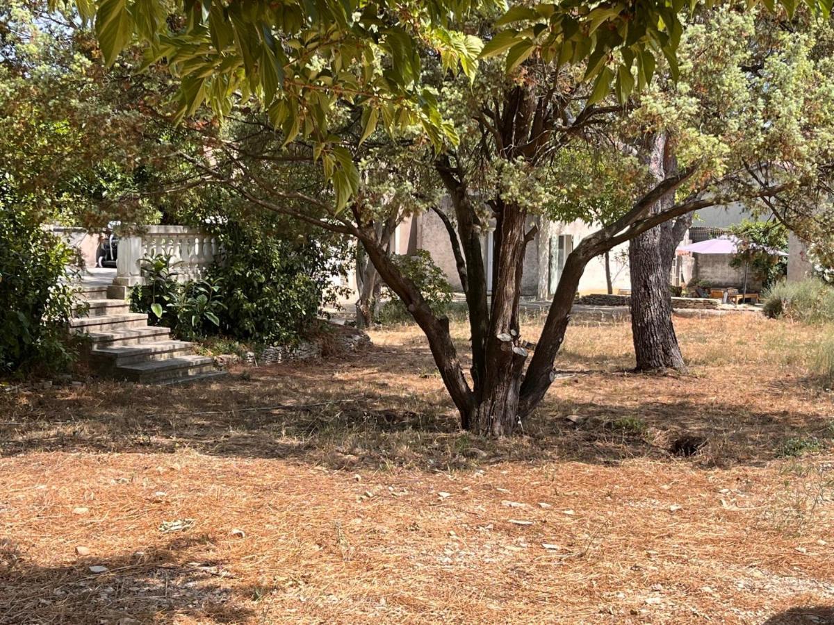Maisonnette Independante Avec Jardin/Patio 尼姆 外观 照片